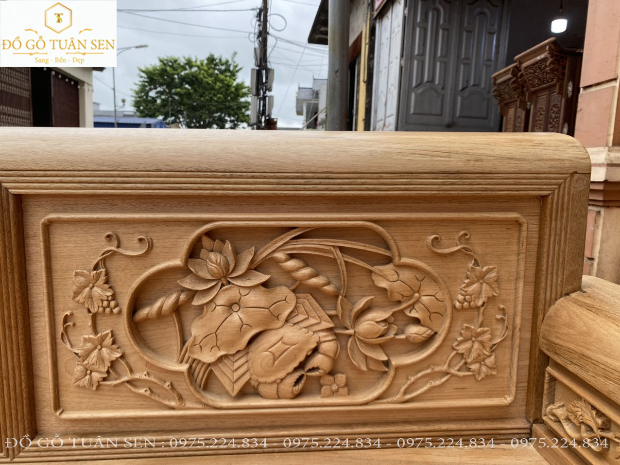 Thông tin chi tiết về trường kỷ sen vịt 